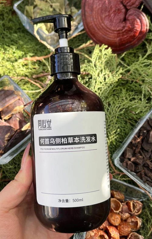 告別脫發(fā)困擾！2024平價(jià)防脫育發(fā)產(chǎn)品盤點(diǎn)，這四款值得一試